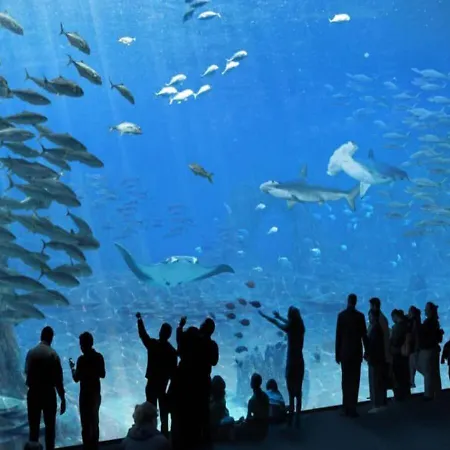 Les Pipots Apartman *