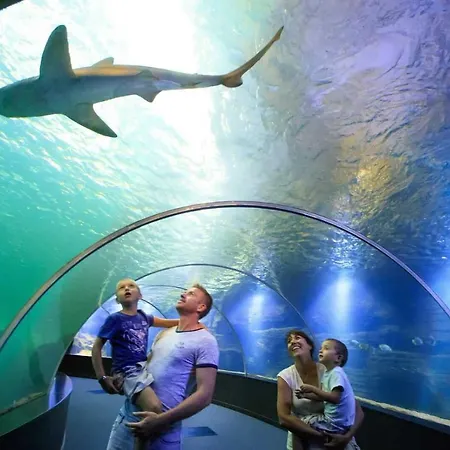 Les Pipots * Boulogne-sur-Mer