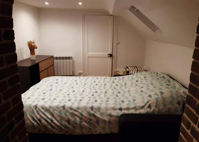 Apartament Les Pipots *