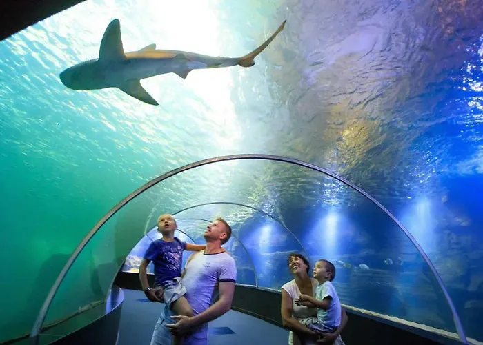 Les Pipots * Boulogne-sur-Mer